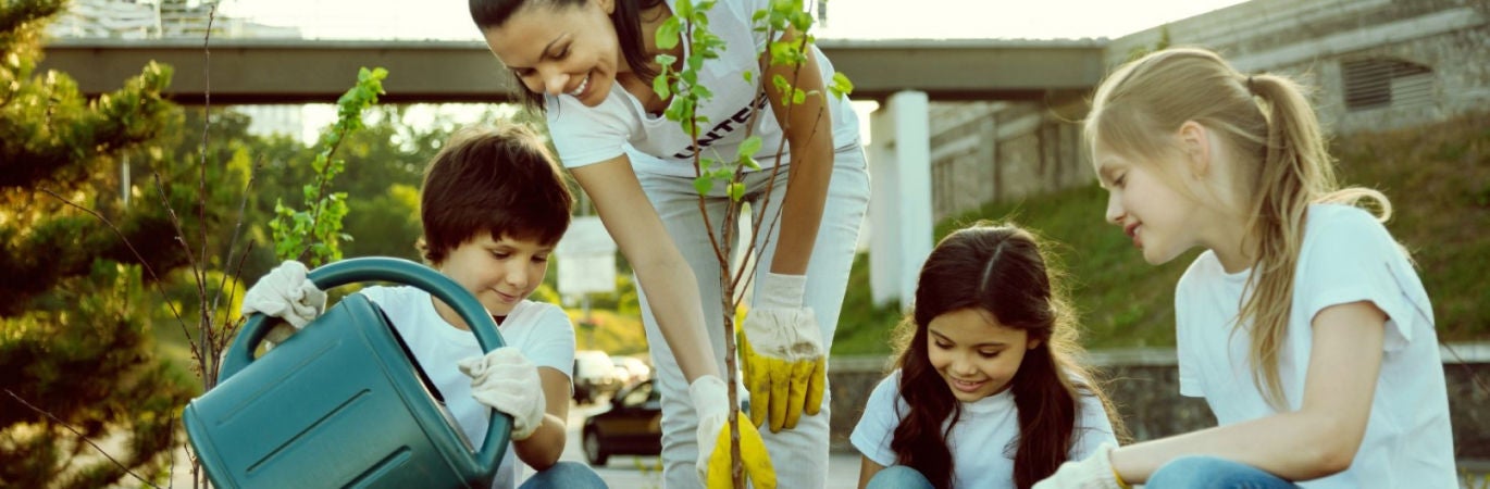 Woman wearing gloves holding a sapling tree in place while boy waters it into the ground, watched by two other children