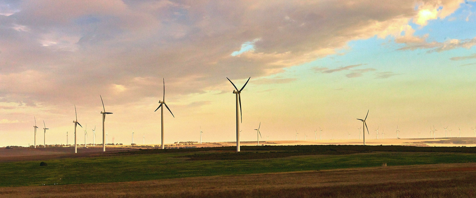 Wind farm at sunset