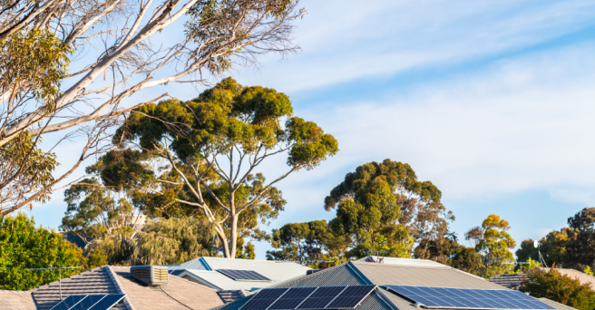 Solar panels on roof with trees behind